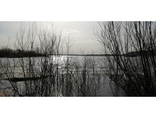 IMG 20210416 080007.jpg