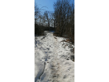 IMG 20210410 135606.jpg