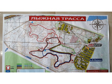 IMG 20210403 124536.jpg