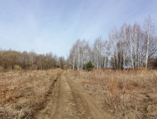 IMG 20210416 083646.jpg