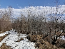 IMG 20210410 141751.jpg