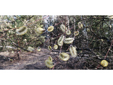 IMG 20210417 075400.jpg