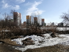 IMG 20210410 150154.jpg