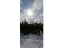 IMG 20210403 115626.jpg