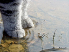 ��������� ����� ...