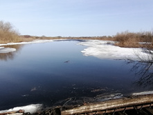 IMG 20210416 082650.jpg