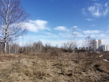 IMG 20210410 143641.jpg