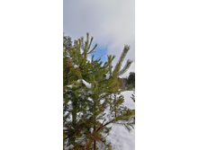 IMG 20210403 113827.jpg