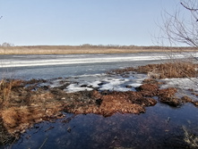 IMG 20210417 085642.jpg