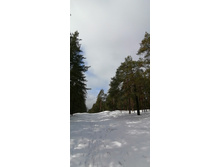 IMG 20210403 121002.jpg