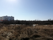 IMG 20210410 144459.jpg