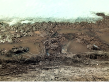 20210411 ��-���-������-��������-�� 115433.jpg