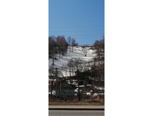 IMG 20210411 111932.jpg