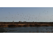 IMG 20210417 080409.jpg