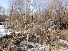 IMG 20210411 092859.jpg