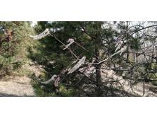 IMG 20210417 082314.jpg