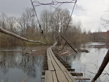 IMG 20210424 122234.jpg