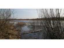 IMG 20210416 075956.jpg