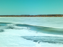 20210411 ��-���-������-��������-�� 124858.jpg