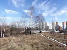 IMG 20210410 144448.jpg