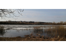 IMG 20210416 074611.jpg