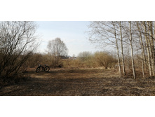 IMG 20210416 073807.jpg