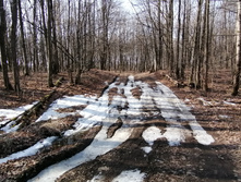 IMG 20210417 084433.jpg