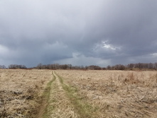 IMG 20210424 124208.jpg