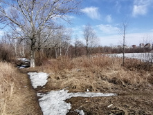 IMG 20210410 144638.jpg