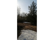 IMG 20210417 075422.jpg