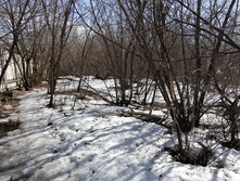 IMG 20210410 141949.jpg