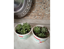 �������� ����������. 50�