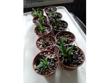 IMG 20210404 120257[1].jpg