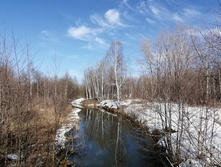 IMG 20210410 150415.jpg