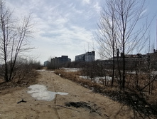 IMG 20210411 132241.jpg