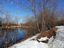 IMG 20210410 135620.jpg