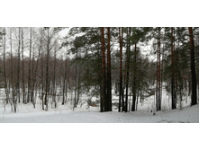 IMG 20210403 095906.jpg