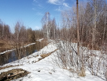 IMG 20210410 150306.jpg