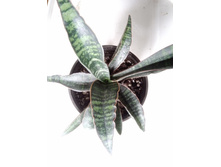 IMG 20210404 123432[1].jpg