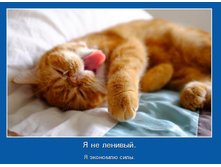 � �� �������. � �������� ����.