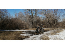 IMG 20210410 141356.jpg