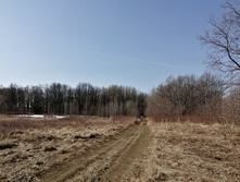 IMG 20210417 085837.jpg