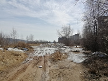 IMG 20210411 132035.jpg