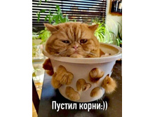 ������ ����� ...