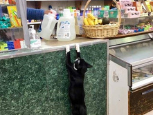 � ��� ������ ��� � ������