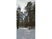 IMG 20210403 121014.jpg