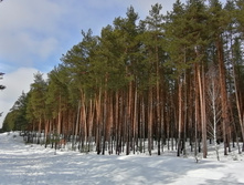 IMG 20210403 121757.jpg