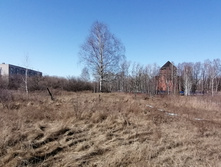 IMG 20210410 144507.jpg