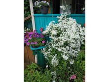 ����������� viber 2021-02-26 22-15-48.jpg