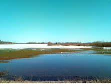 20210411 ��-���-������-��������-�� 122839.jpg